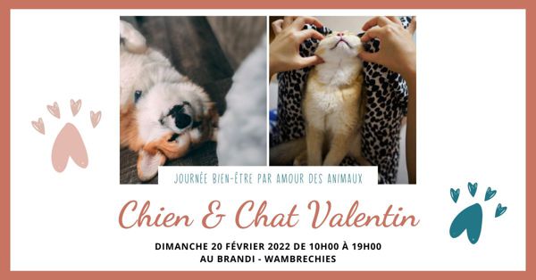 Chien & Chat Valentin