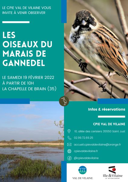 Les Oiseaux Du Marais de Gannedel