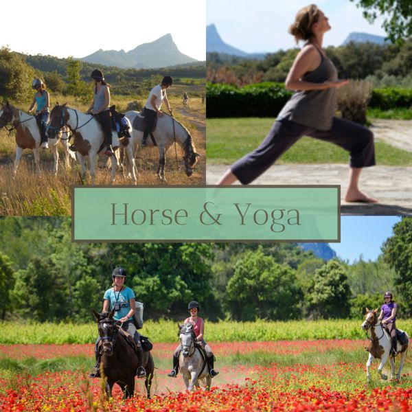 Horse & Yoga - Séance de yoga suivie d'une balade à cheval - Cavaliers confirmés