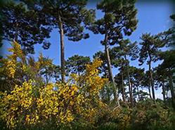 RANDONNEES DE PRINTEMPS