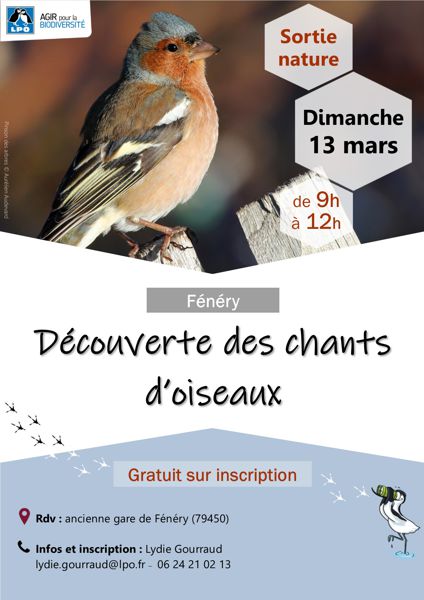 Découverte des chants d'oiseaux