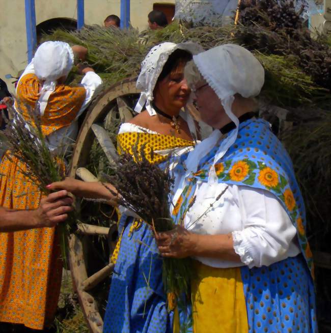 Fête de la Lavande 