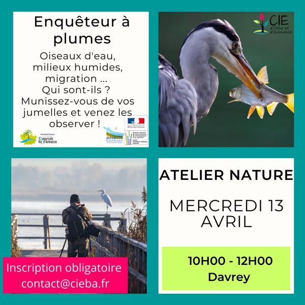 Enquêteurs à plumes !