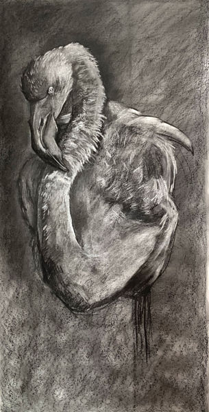 SALON ARTISTIQUE DE ASSAS (34)