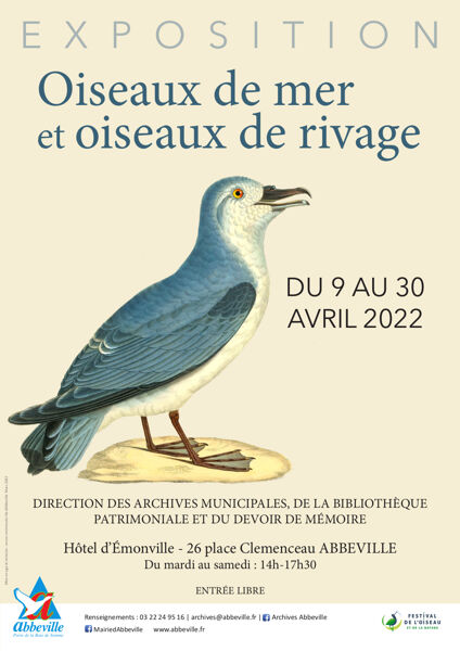 Oiseaux de mer et oiseaux de rivage