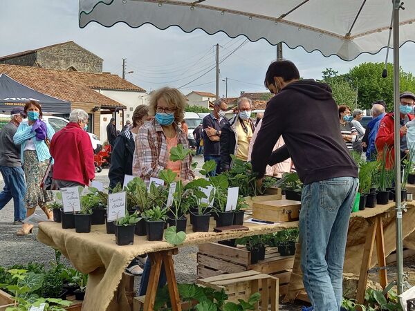 FETE DES FLEURS