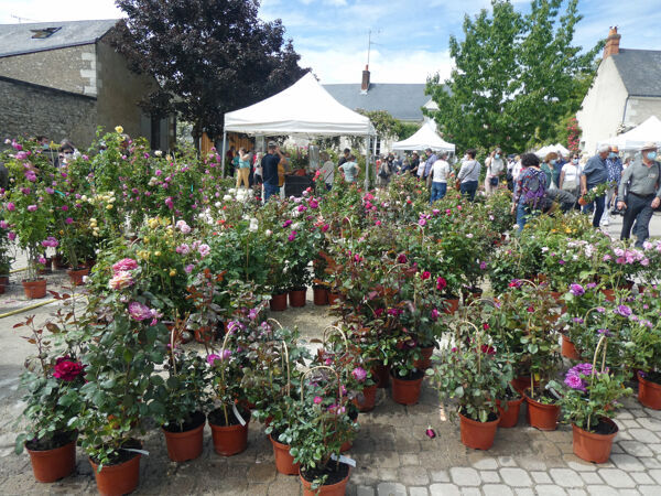 festival des roses de chedigny