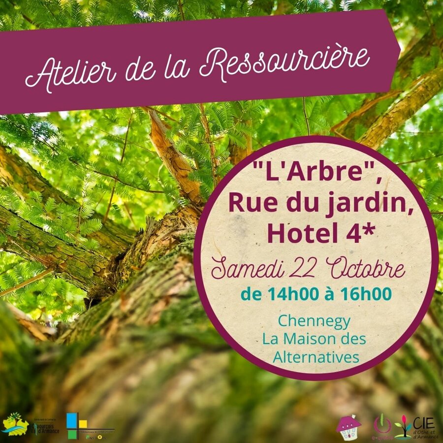 L’arbre, rue du jardin, hotel 4*