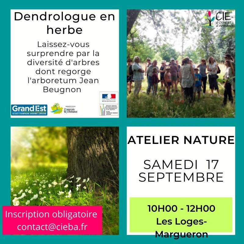 Dendrologue en herbe