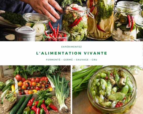 Stage Alimentation Vivanre