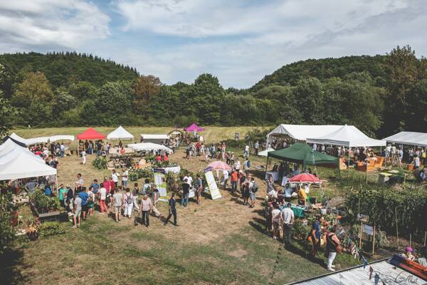 Faites des légumes et des jardins