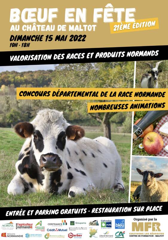 Foire agricole - Boeuf en fête