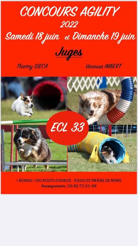 Concours Agility