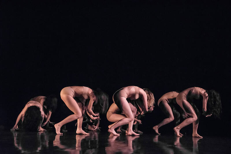 Humming-bird / Colibri - Strasbourg danse l’été