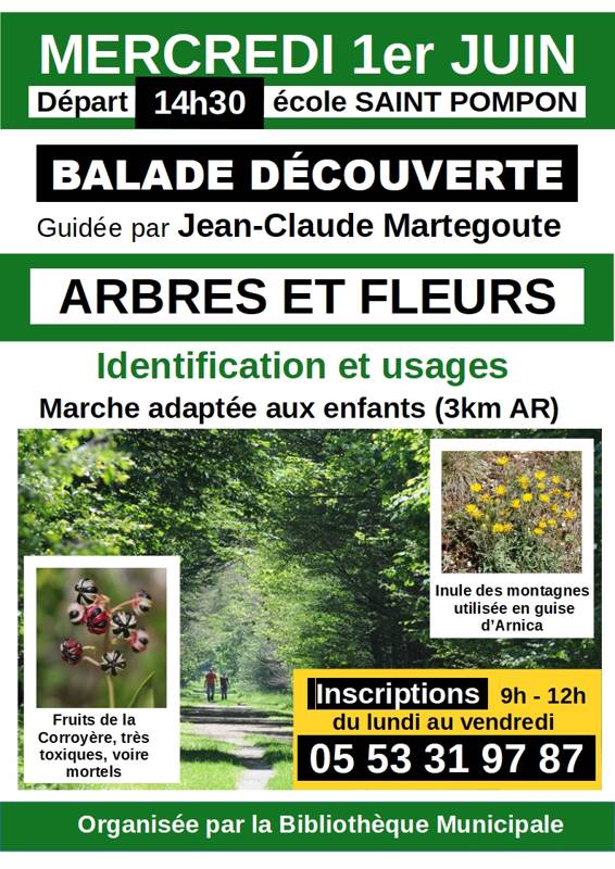 Balade Découverte