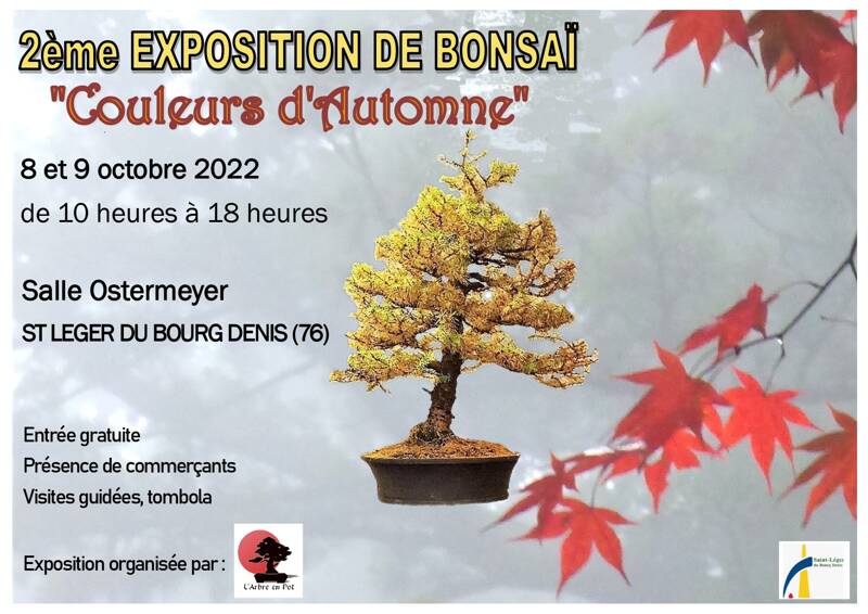 Exposition de bonsaïs 