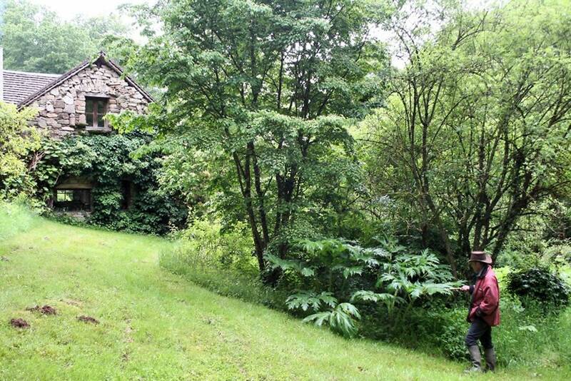 Ciné-Musée - Le jardin en mouvement