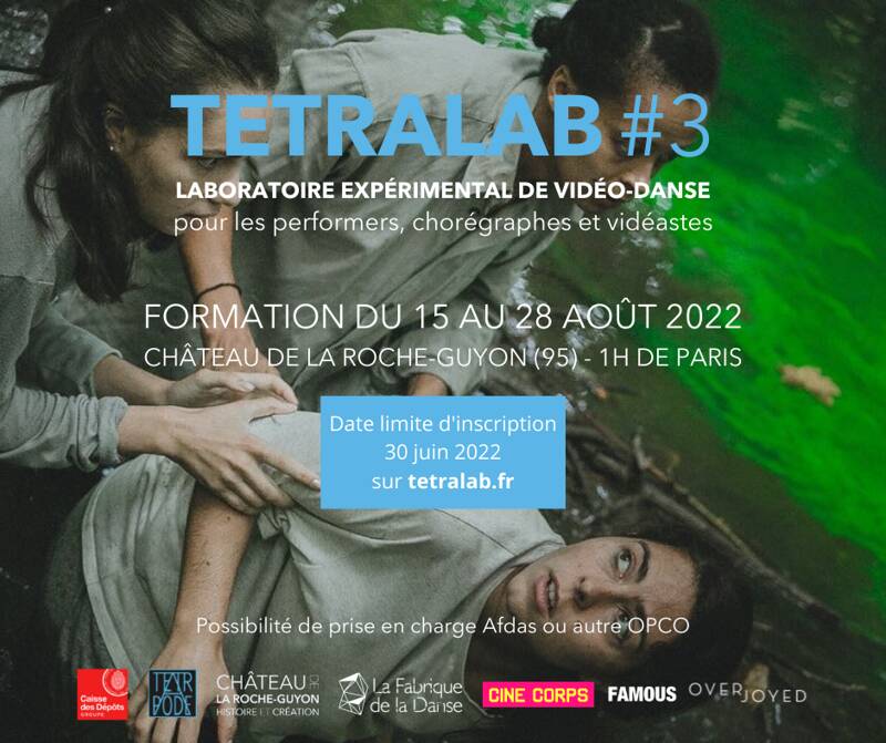 TETRALAB #3 - Stage international de vidéo-danse