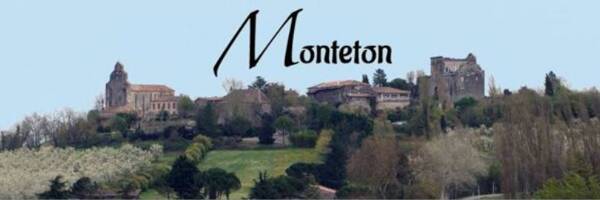 Vide Greniers Annuel du Rotary à MONTETON