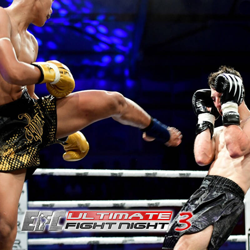 Ultimate Fight Night