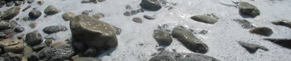 L’Estran Rocheux à Marée Basse