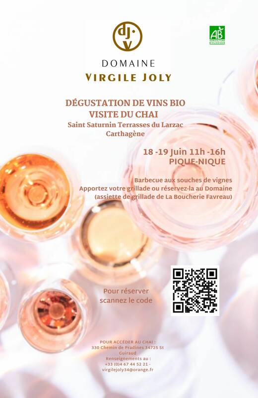 PIQUE-NIQUE- GRILLADE AU CEPS DE VIGNE DOMAINE VIRGILE JOLY