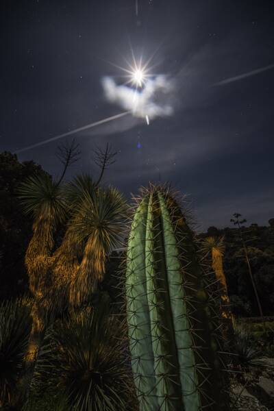 Balade nocturne