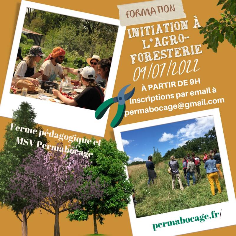 Samedi 9 Juillet : Journée d'initiation à l'agroforesterie