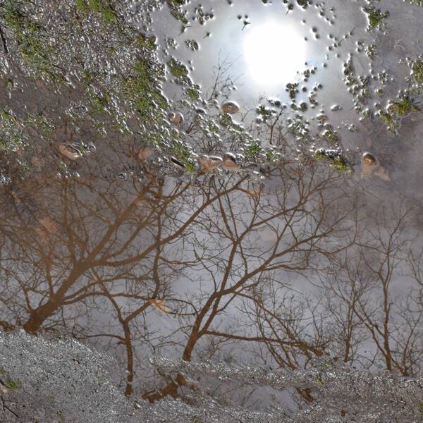 Exposition Sylvie Teissier – Eau de là