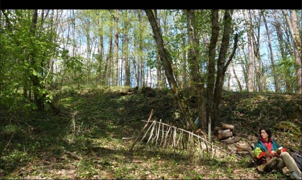 À la recherche de la troisième fougère à droite