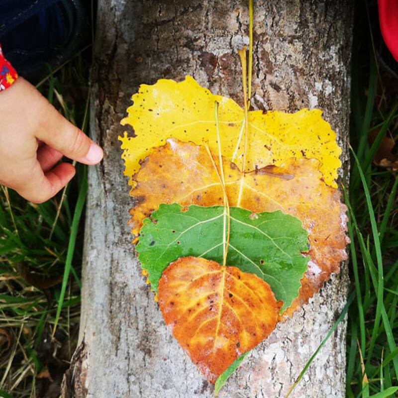 Atelier enfants : Art et nature