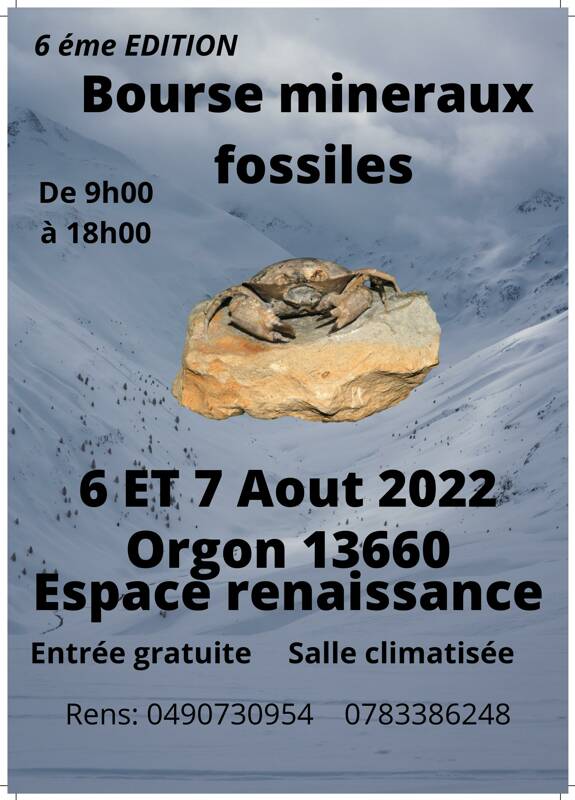 6 éme bourse mineraux fossiles