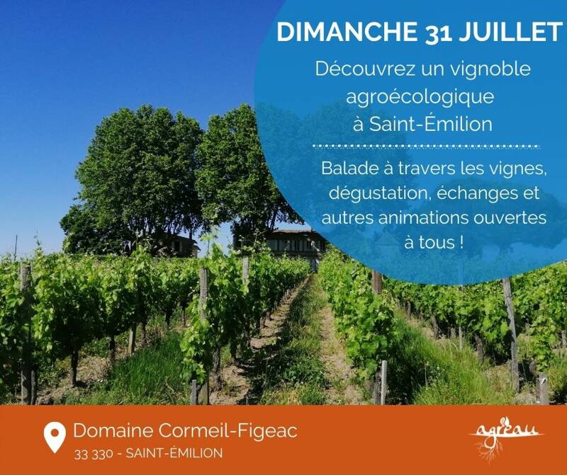 Journée Vignes Ouvertes : l’agroécologie au cœur des vignes