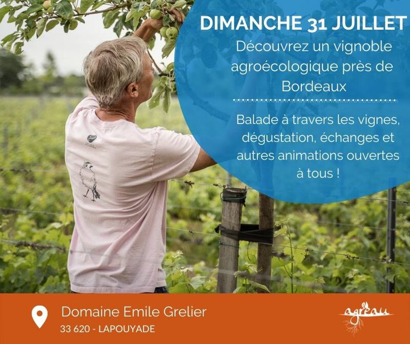 Journées Vignes Ouvertes : l’agroécologie au cœur des vignes