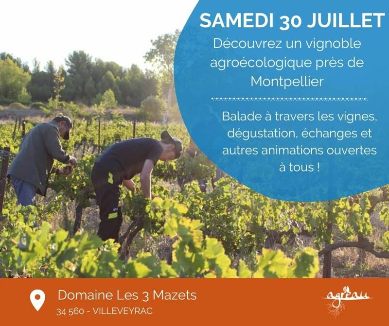 Journées Vignes Ouvertes : l’agroécologie au cœur des vignes