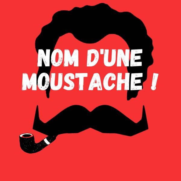 Non d'une moustache!