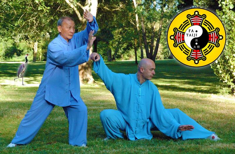 cours de Taiji Quan et Qi Gong traditionnel, école Fa Taiji, à Monestiés 81640 (prononcez Taichi Chuan et Chi Kung)