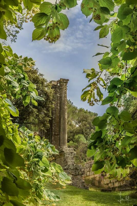 JOURNÉE DU PATRIMOINE À CHÂTEAU BAS (Coteaux d’Aix)