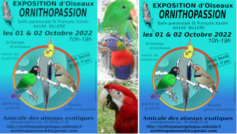 EXPOSITION OISEAUX EXOTIQUES