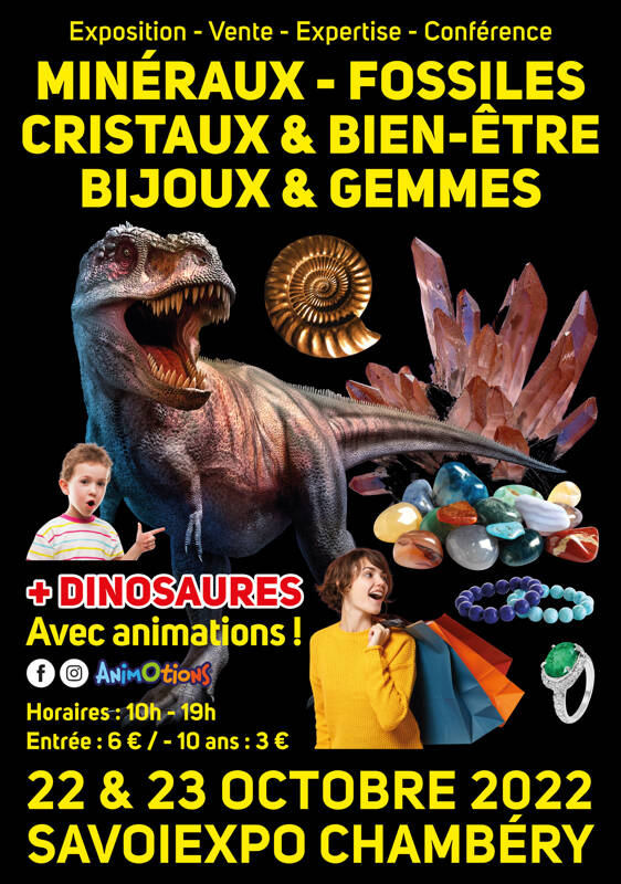 Salon Minéraux Fossiles Cristaux & Bien-Être Bijoux et Gemmes + Exposition de Dinosaures