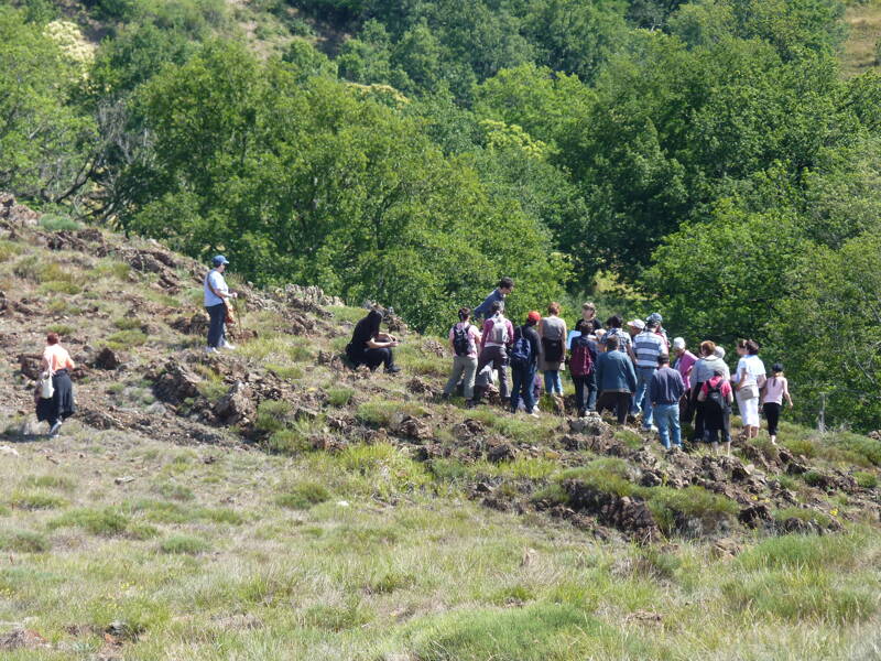Sortie Nature à la découverte d'un site naturel exceptionnel : le Puy de Wolf