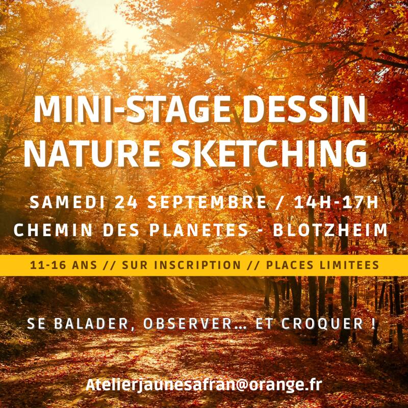 Mini-stage dessin « nature sketching »