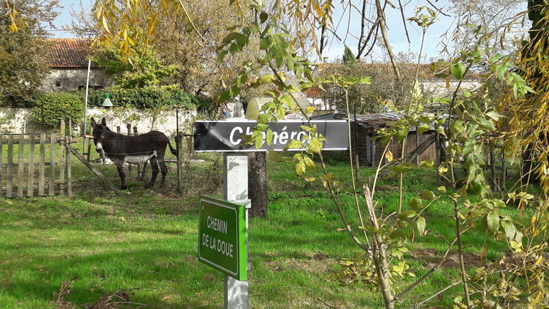 1er VIDE MAISON COMMUNAL et TROC PLANTES