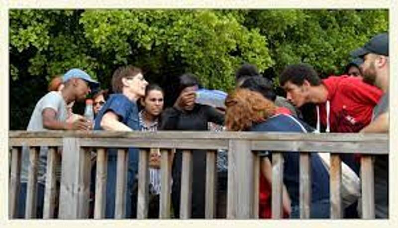 Initiation à l'identification des champignons des forêts