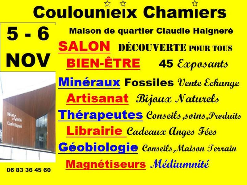 Coulounieix Chamiers SALON de BIEN ÊTRE, MINERAUX, FOSSILES,ARTISANAT