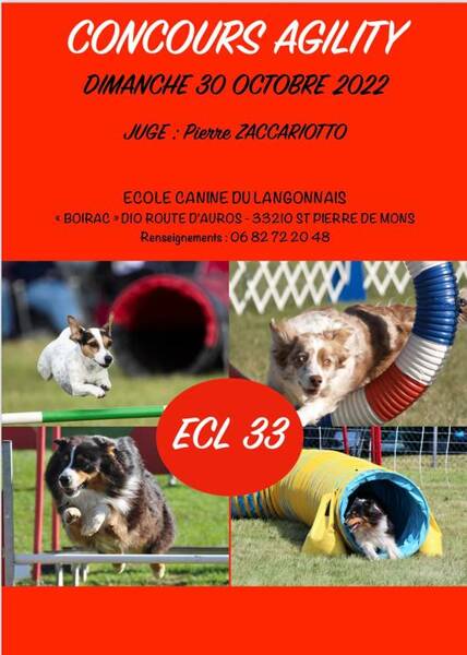 Concours sport canin