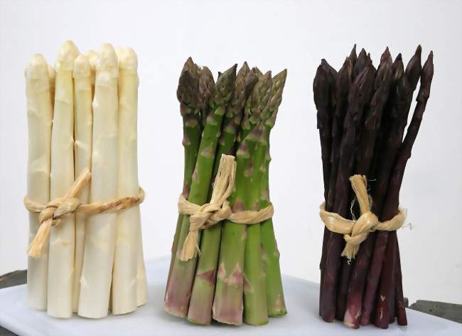 Fête de l'asperge