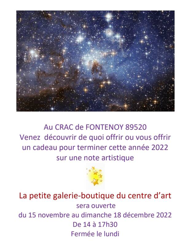 Petite galerie boutique CRAC Fontenoy