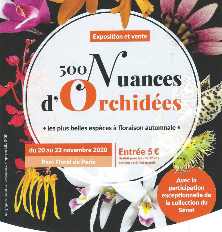 Exposition d'orchidées