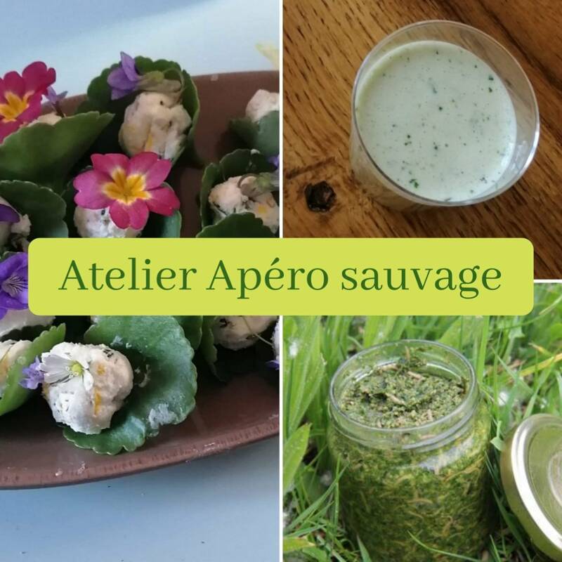 Atelier Apéro sauvage